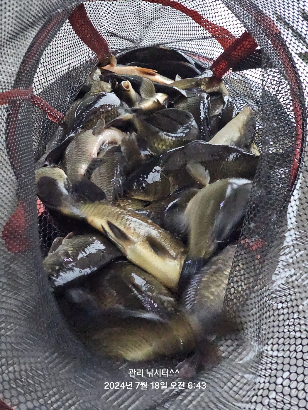 KakaoTalk_20240718_202124914_26.jpg