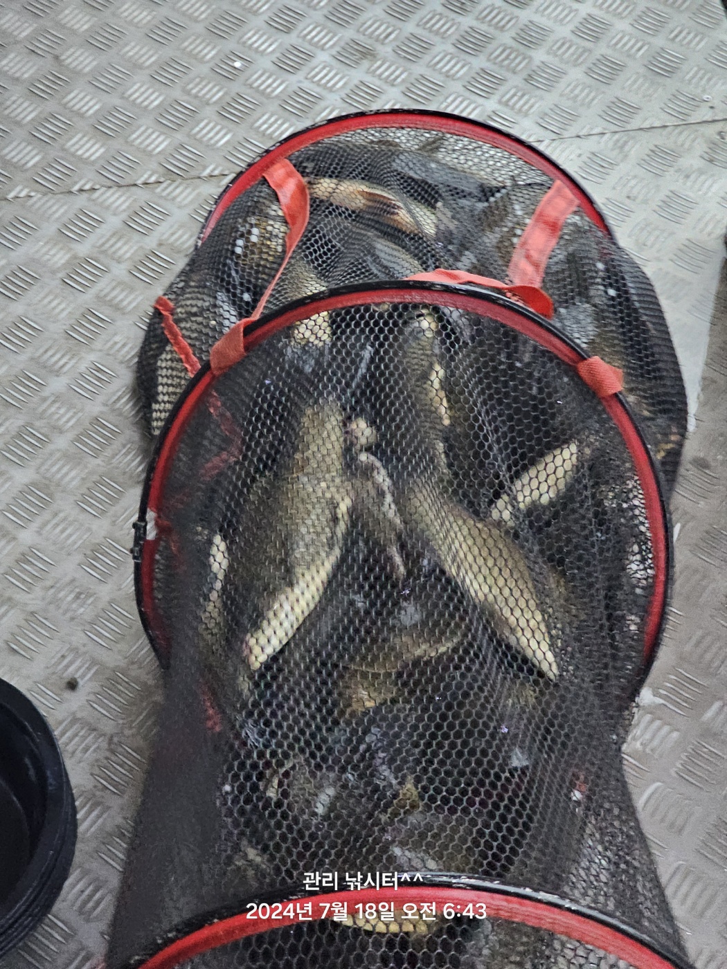 KakaoTalk_20240718_202124914_25.jpg