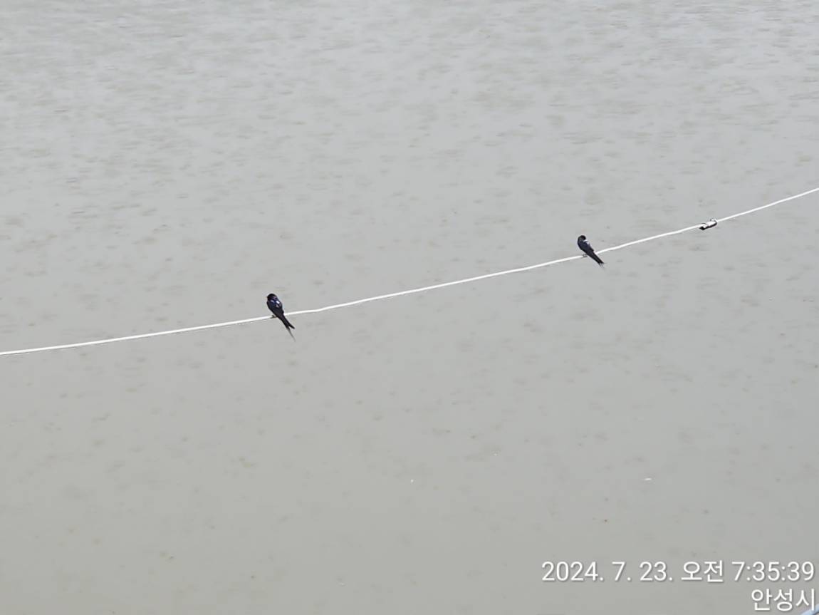 TimePhoto_20240723_073539.jpg