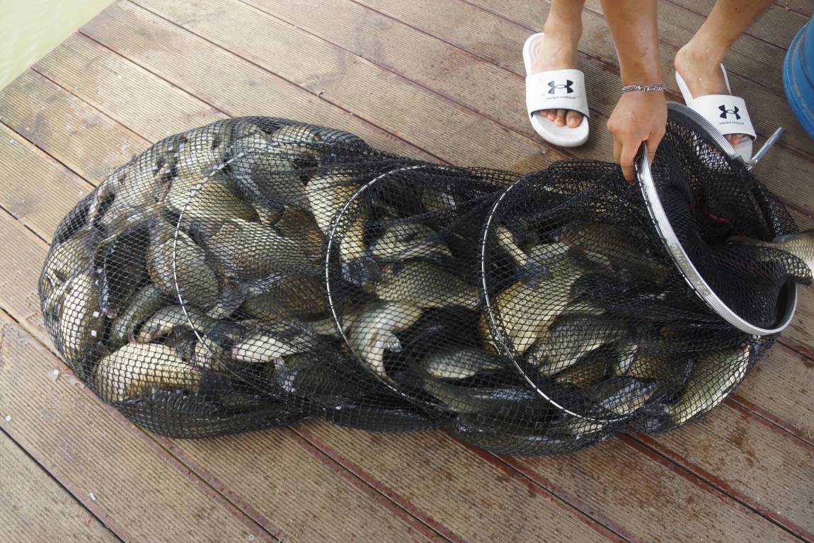 DSC07175.JPG