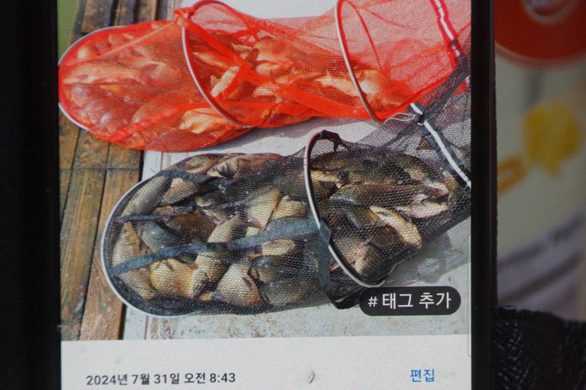 DSC07189.JPG