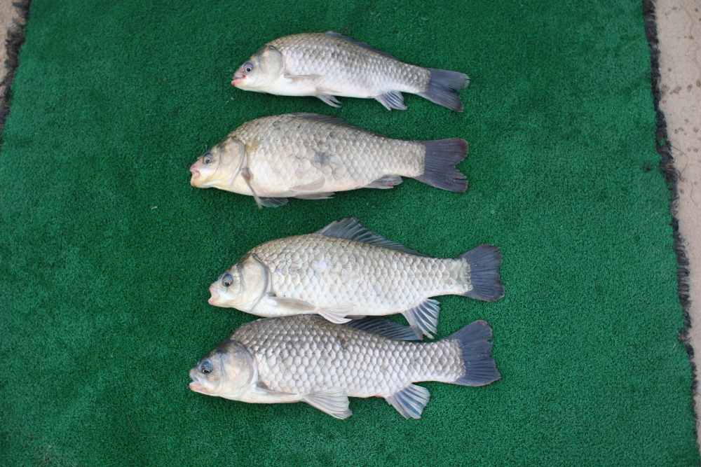 [ũ⺯ȯ]IMG_5651.JPG