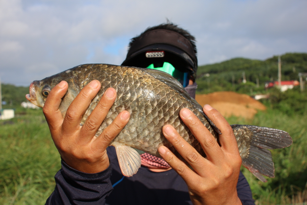 [ũ⺯ȯ]IMG_5645.JPG