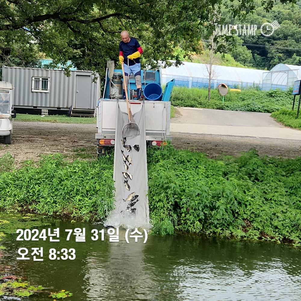 1722388748842.jpg