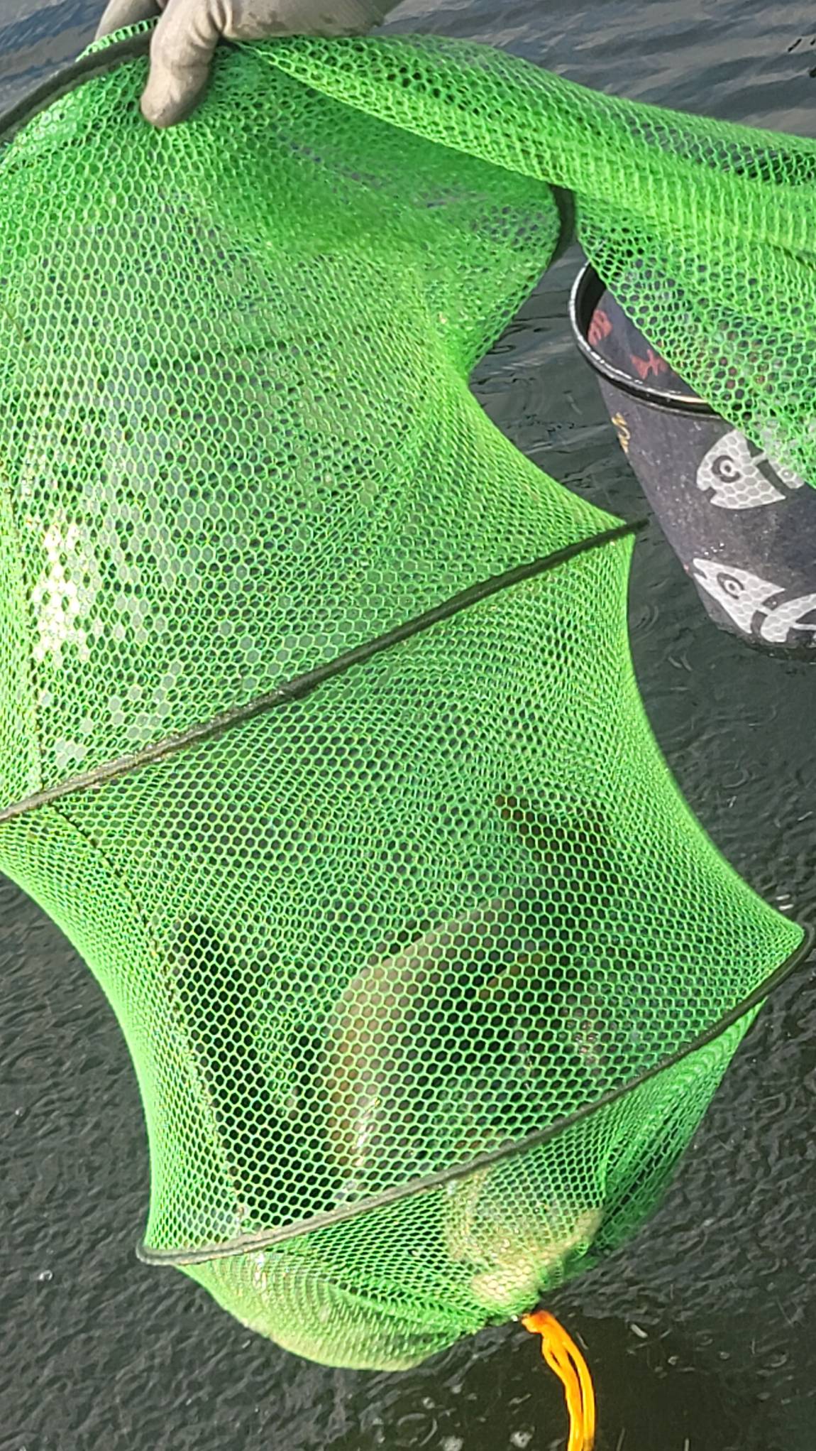 20240731_062639.jpg