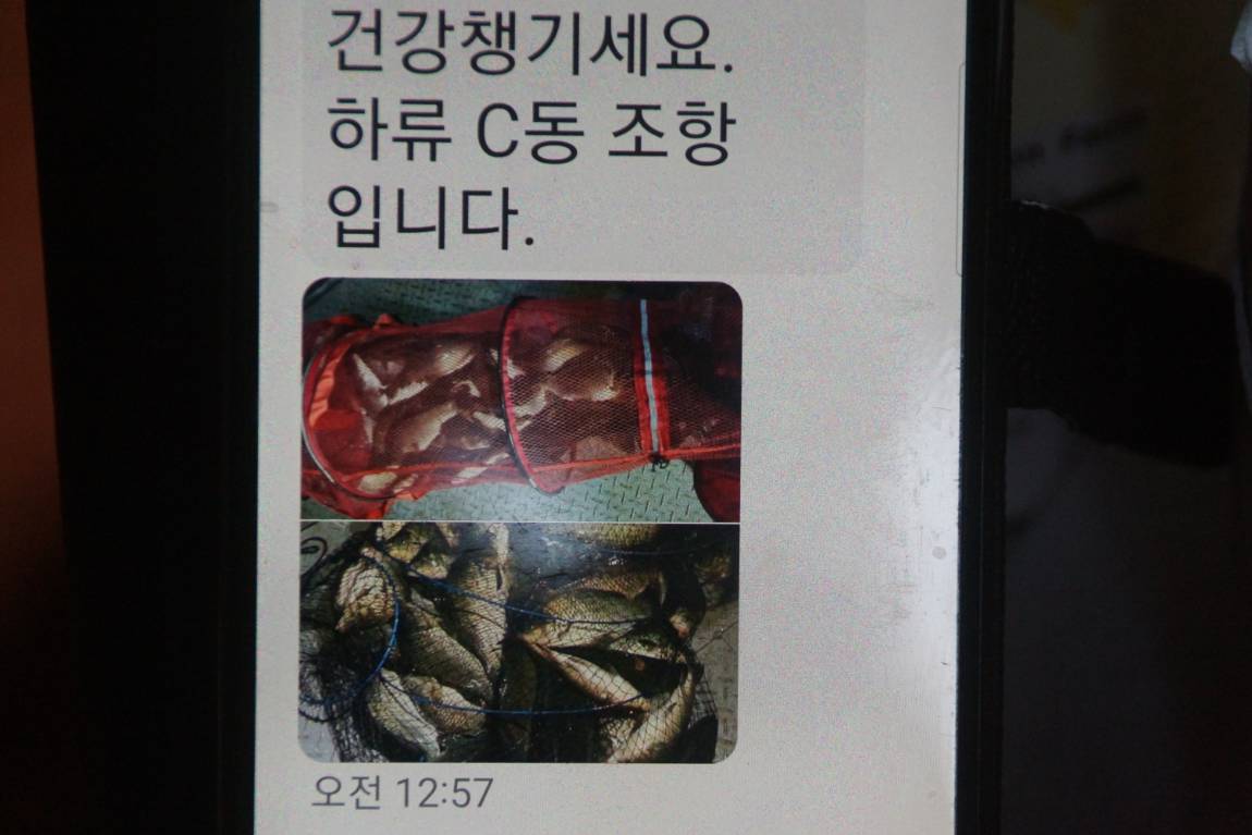 DSC07201.JPG