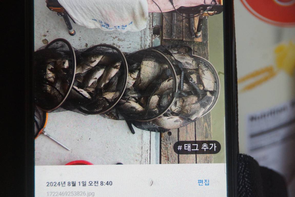 DSC07206.JPG