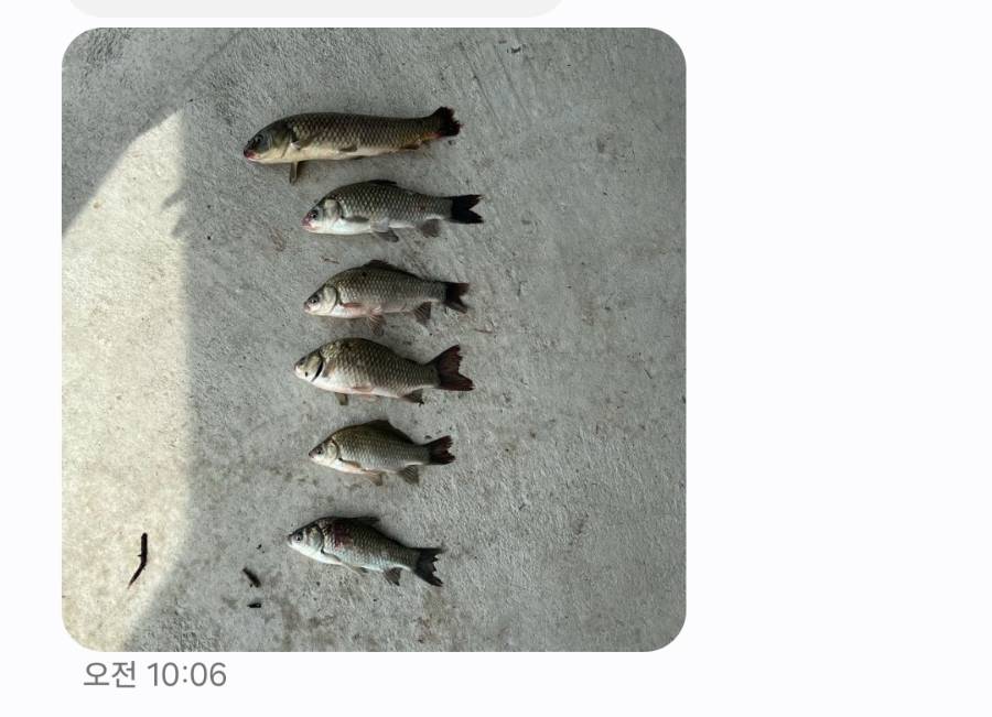 KakaoTalk_20240801_131724521_01.jpg