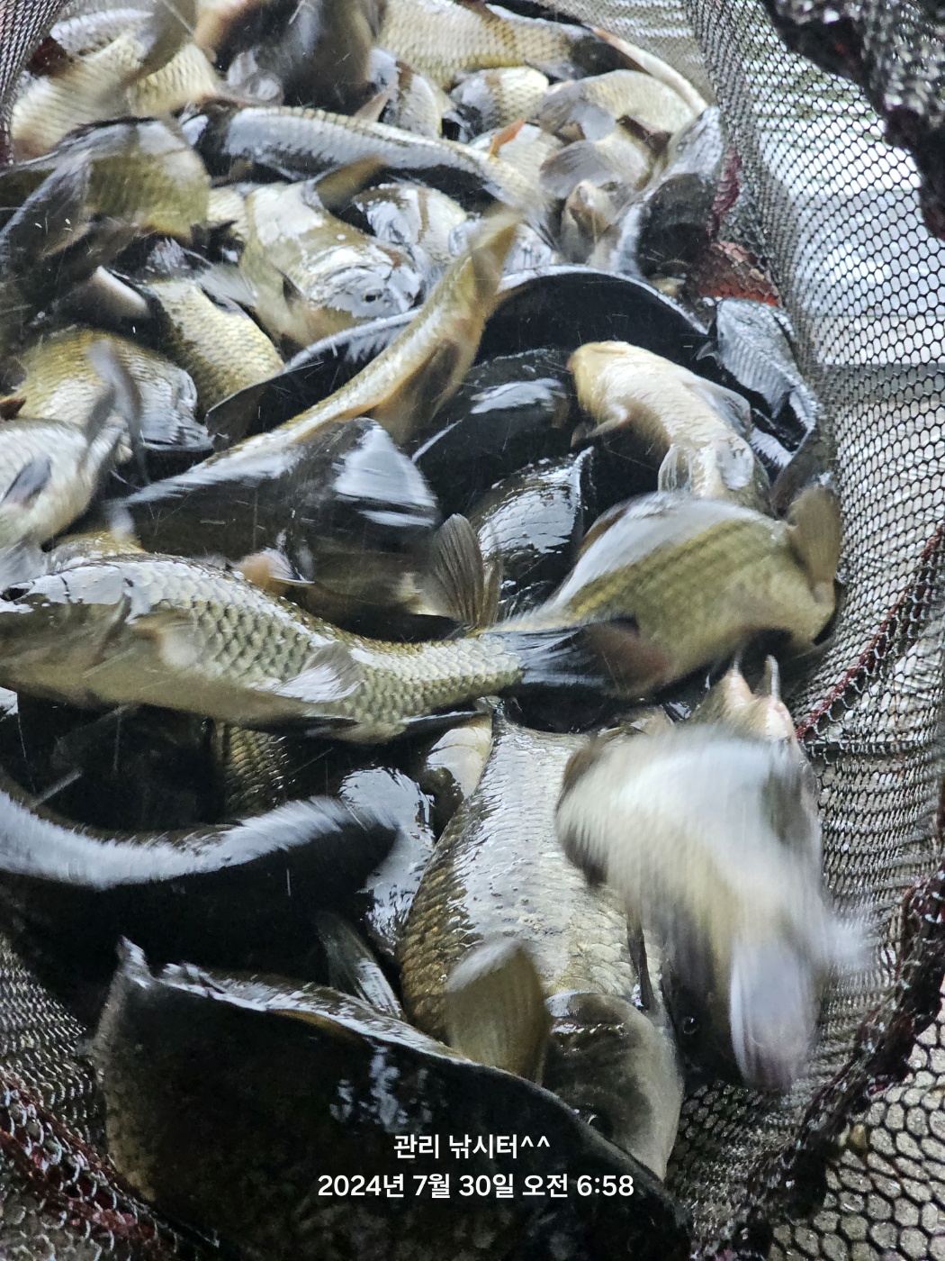 KakaoTalk_20240730_214837775_04.jpg