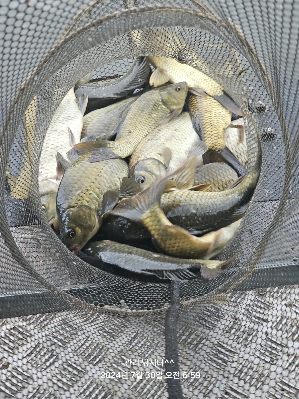KakaoTalk_20240730_214837775_01.jpg