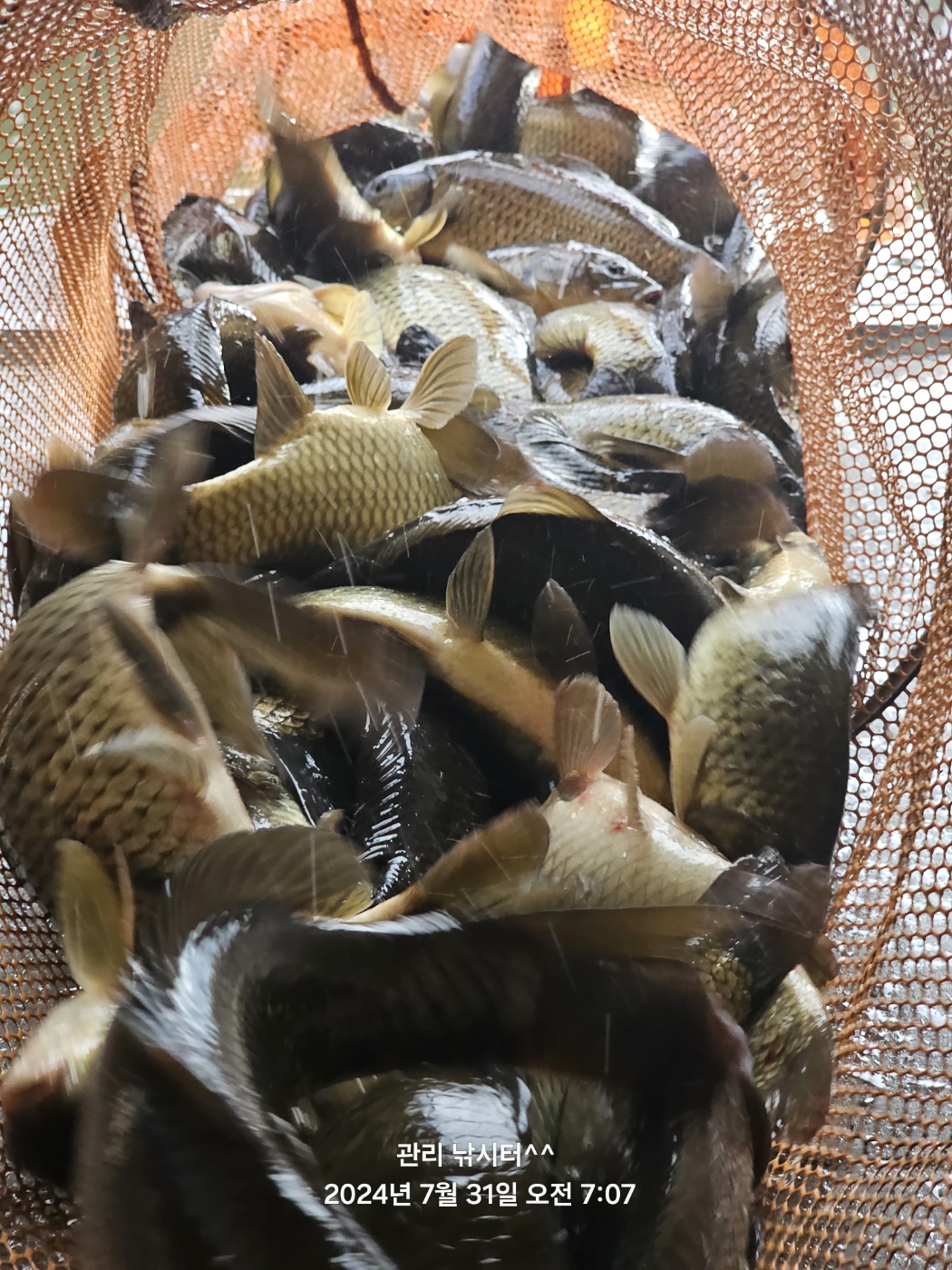 KakaoTalk_20240731_214754525_04.jpg