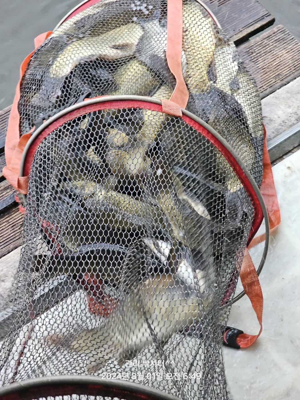 KakaoTalk_20240801_201244128_27.jpg