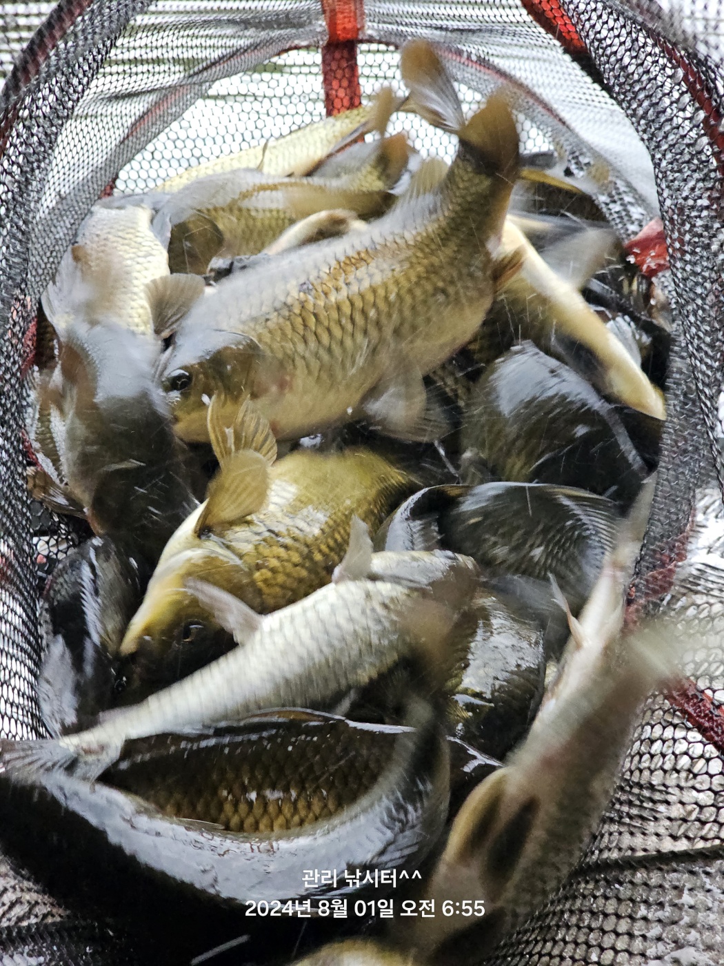 KakaoTalk_20240801_201244128_16.jpg