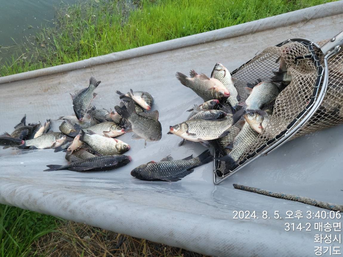 KakaoTalk_20240805_154050950.jpg