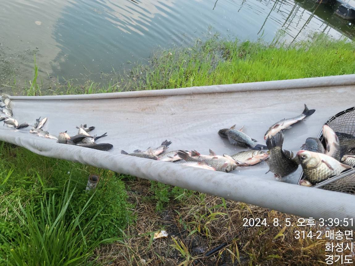 KakaoTalk_20240805_154051930.jpg
