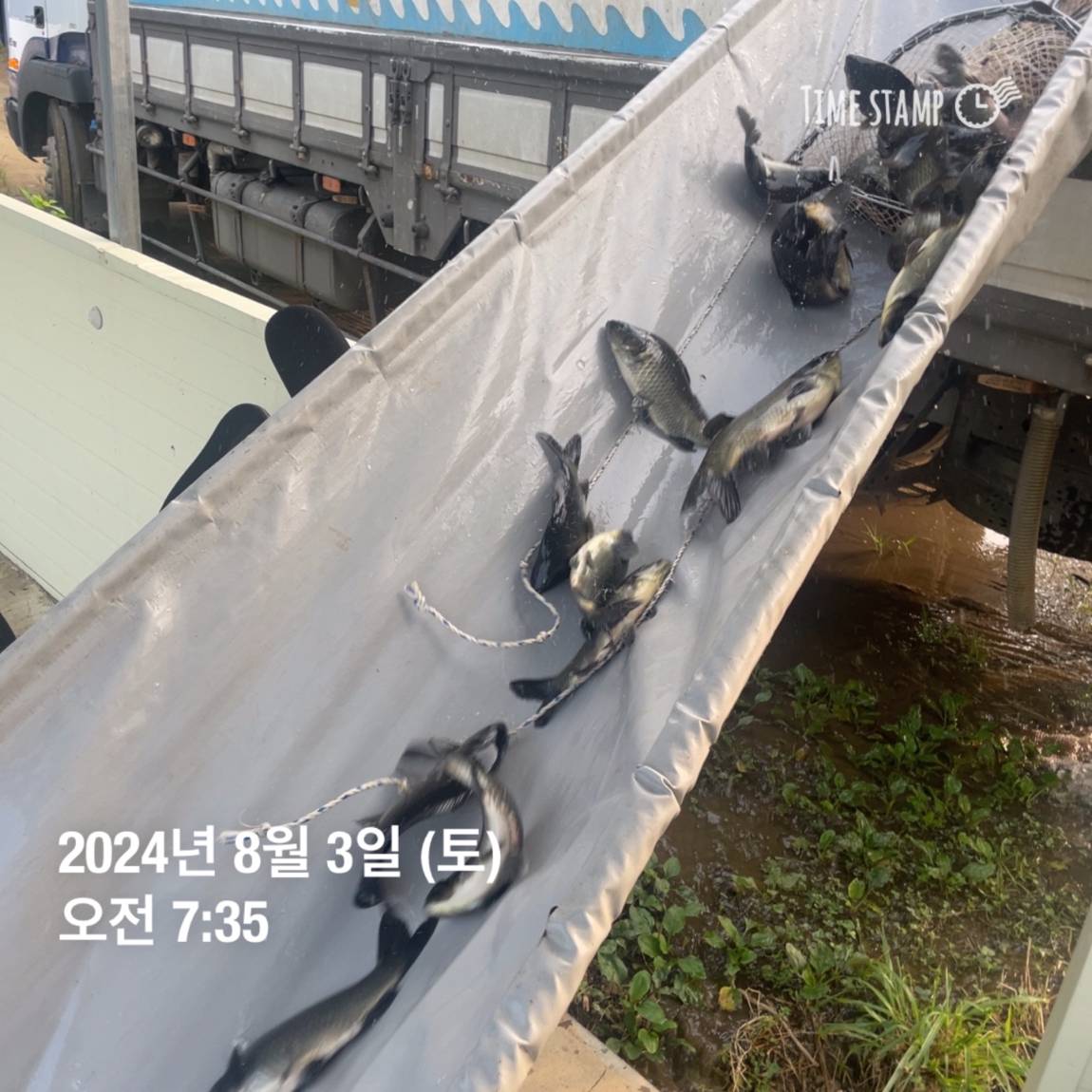 KakaoTalk_20240805_154450955_04.jpg