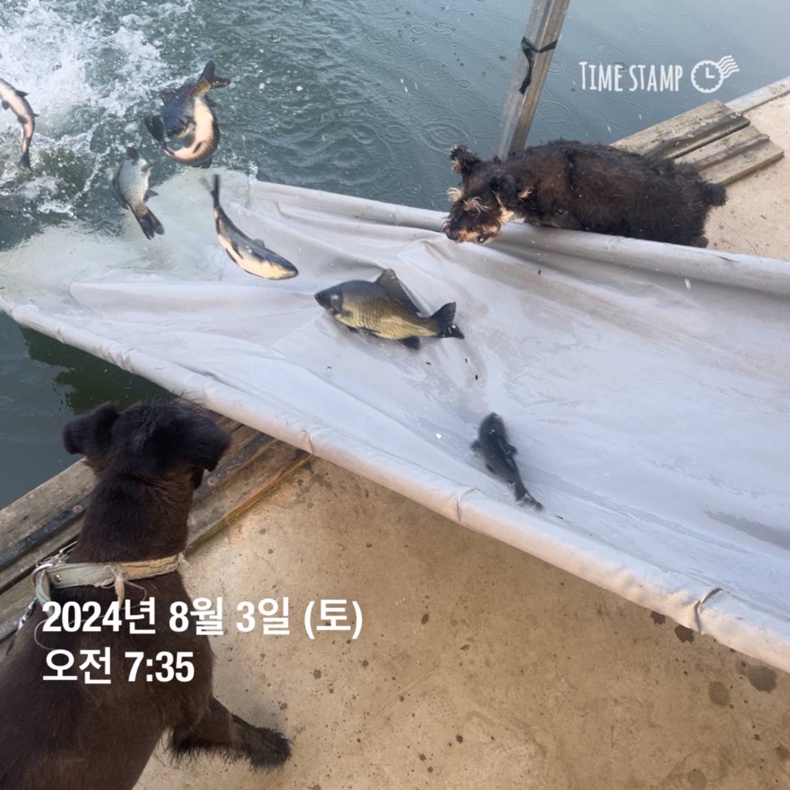 KakaoTalk_20240805_154450955_05.jpg