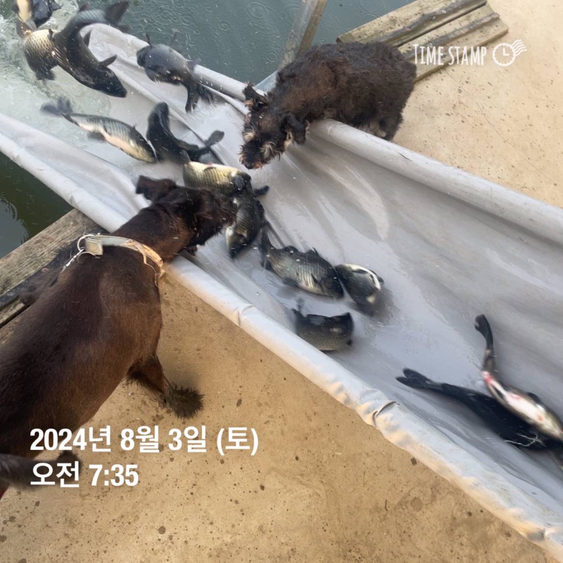KakaoTalk_20240805_154450955_08.jpg