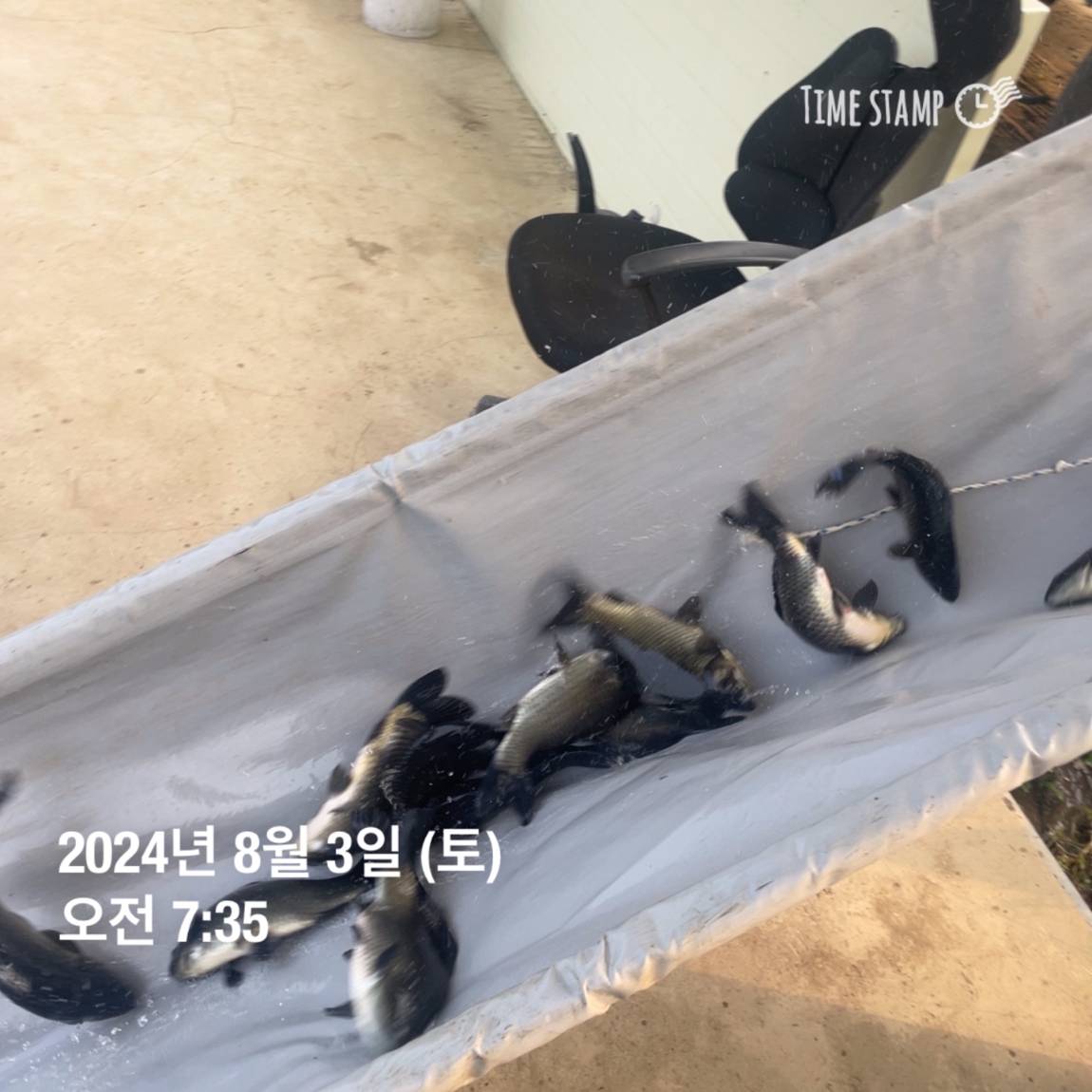KakaoTalk_20240805_154450955_07.jpg