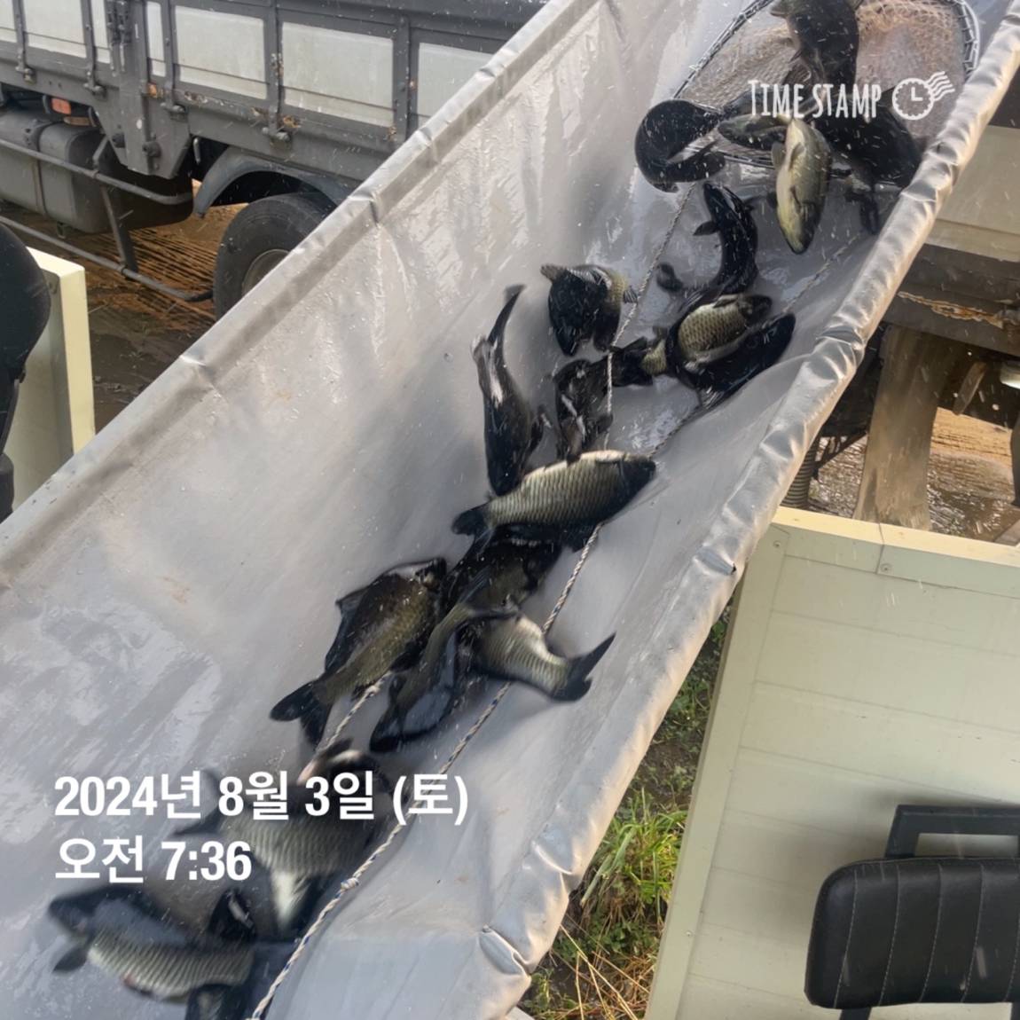 KakaoTalk_20240805_154450955_10.jpg