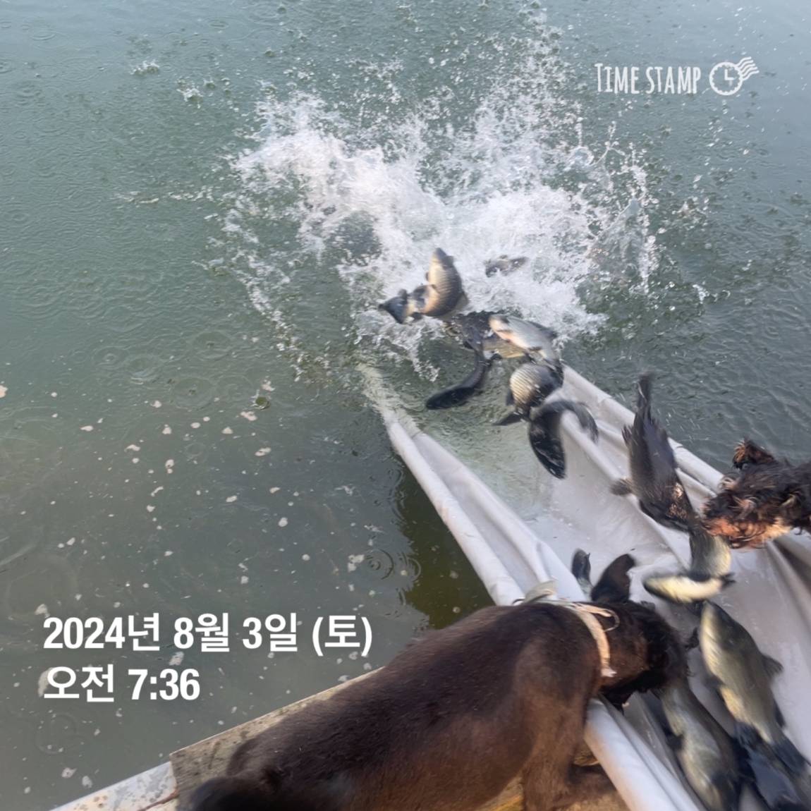 KakaoTalk_20240805_154450955_13.jpg