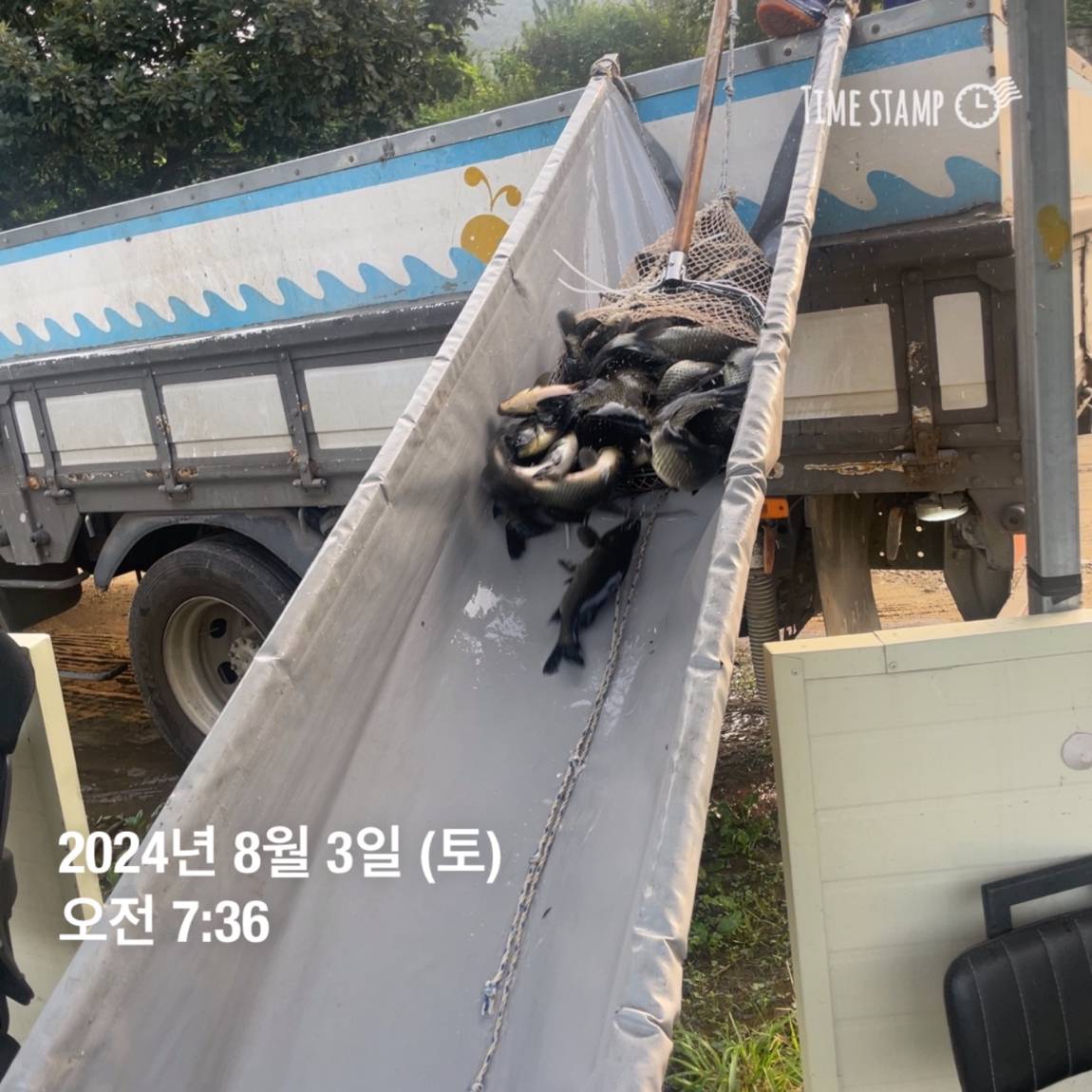 KakaoTalk_20240805_154450955_12.jpg