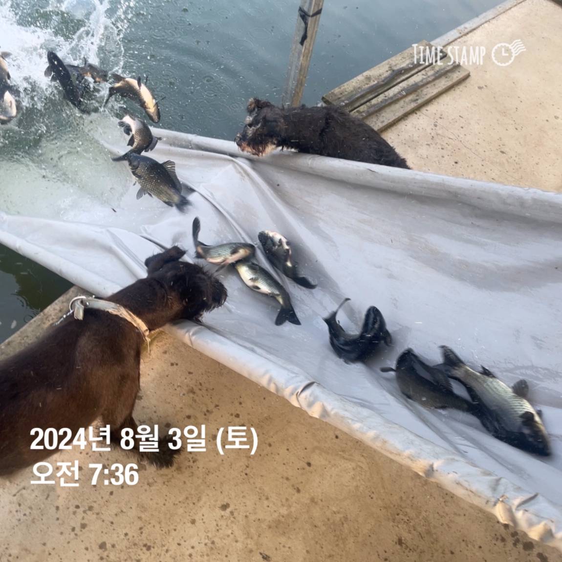 KakaoTalk_20240805_154450955_11.jpg