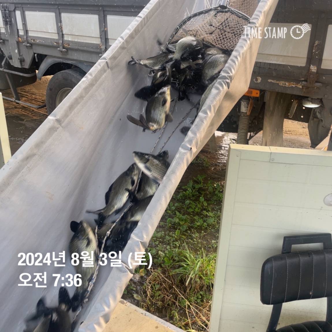 KakaoTalk_20240805_154450955_15.jpg
