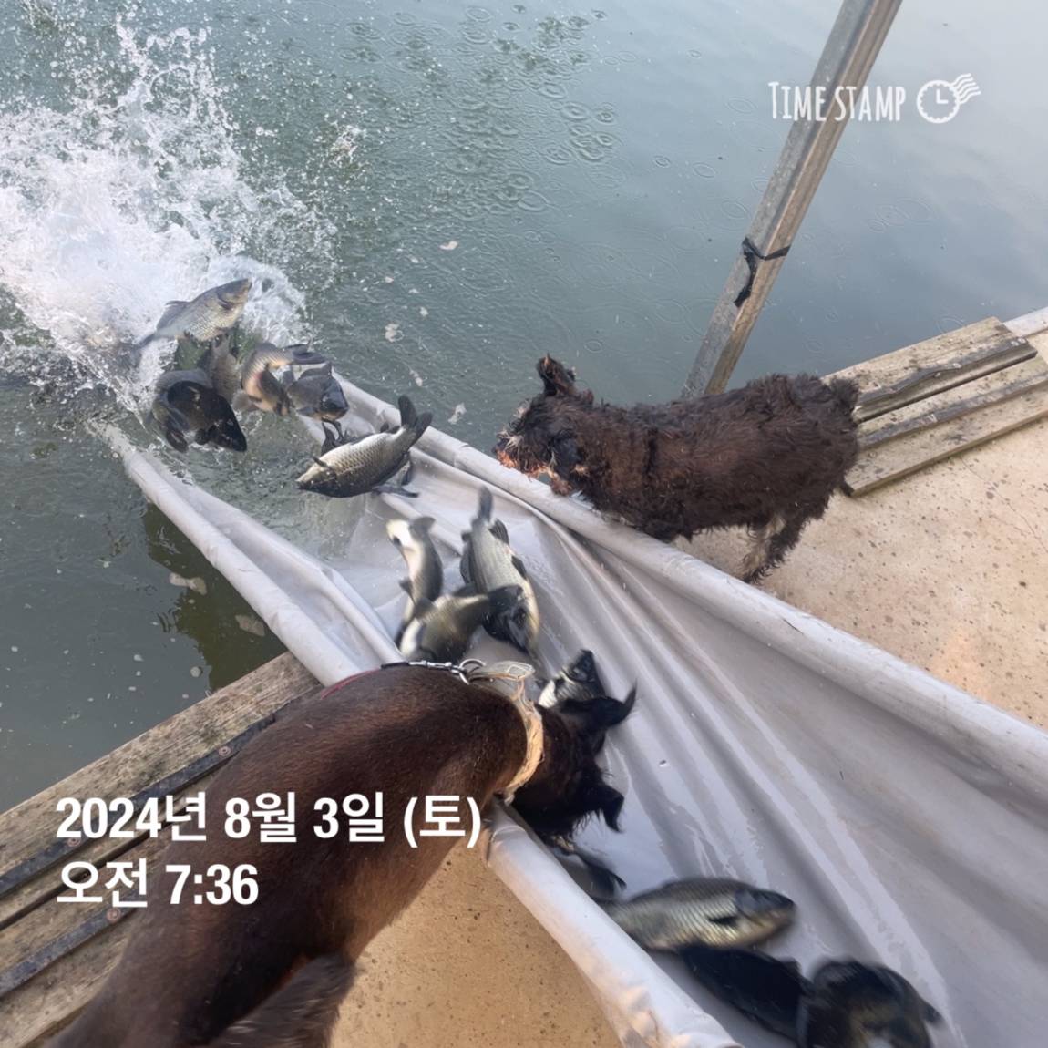 KakaoTalk_20240805_154450955_16.jpg