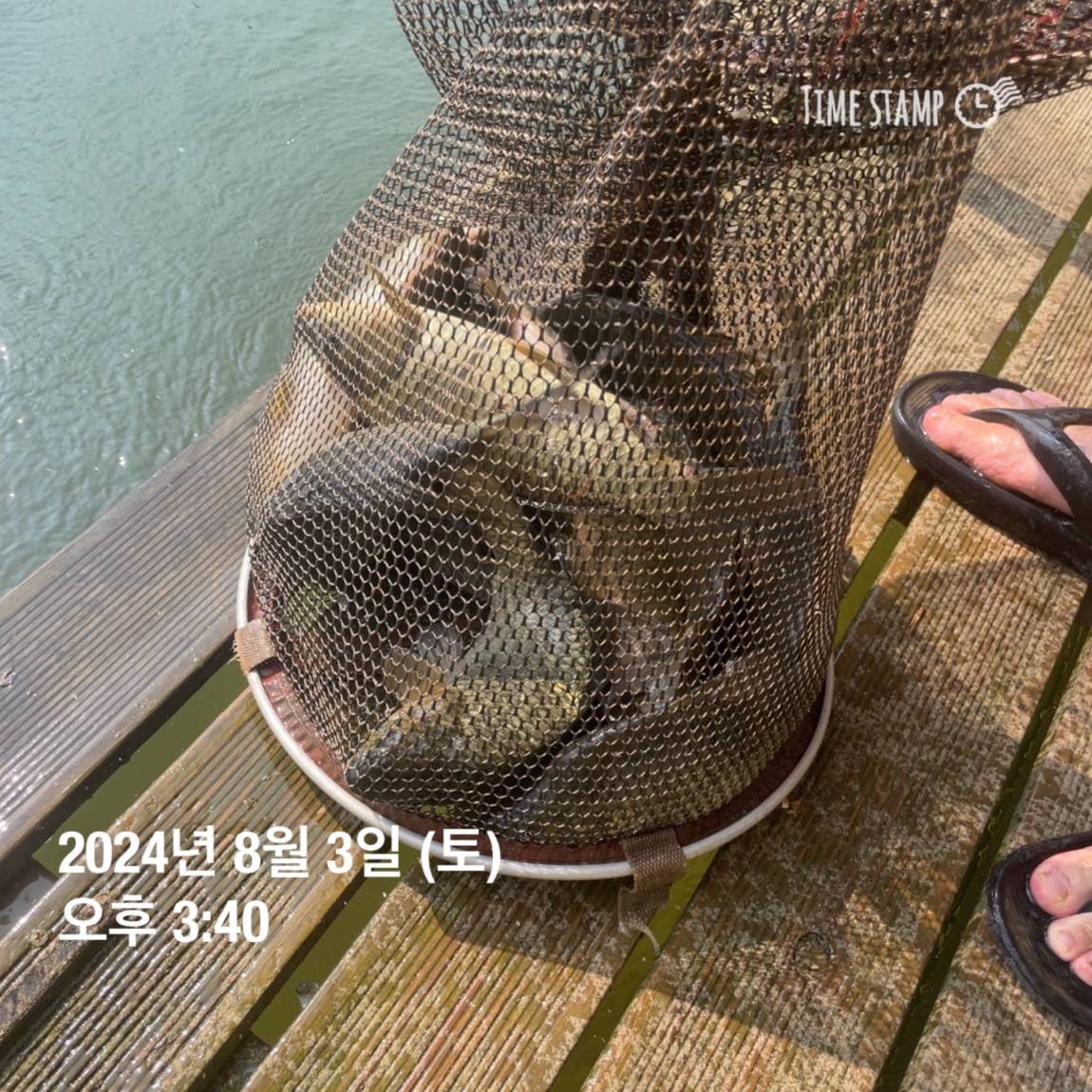 KakaoTalk_20240805_154450955_18.jpg