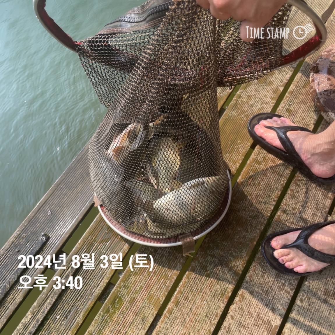 KakaoTalk_20240805_154450955_20.jpg
