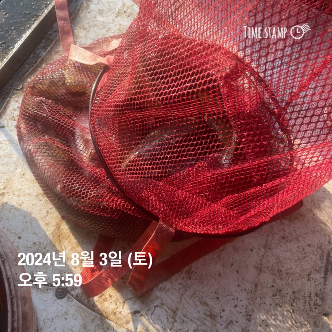 KakaoTalk_20240805_154450955_28.jpg