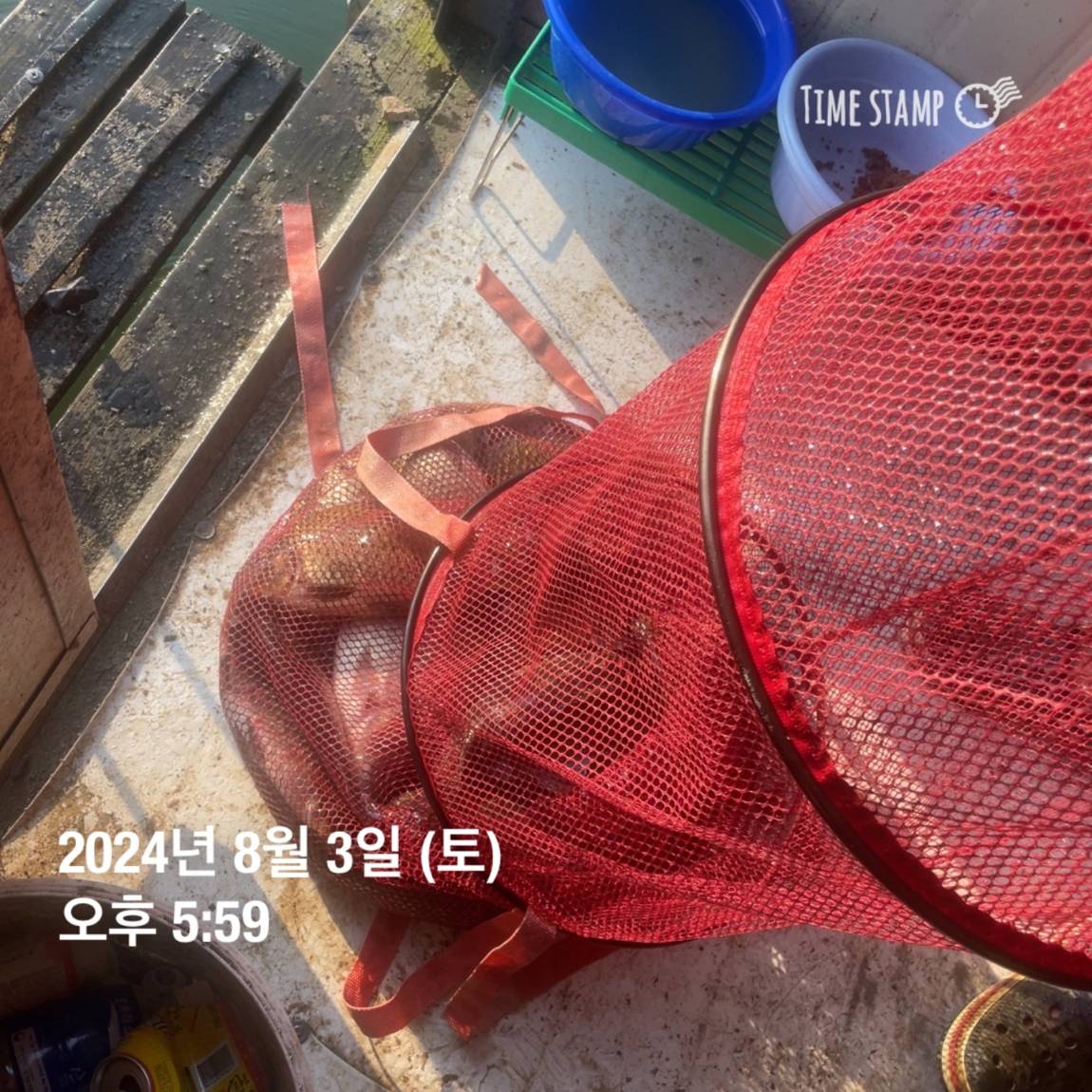 KakaoTalk_20240805_154610468_01.jpg