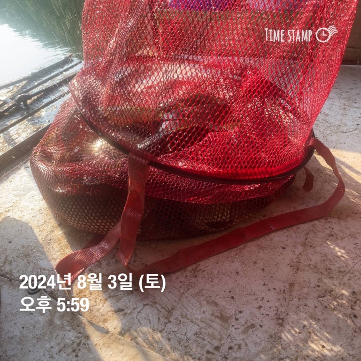 KakaoTalk_20240805_154610468.jpg