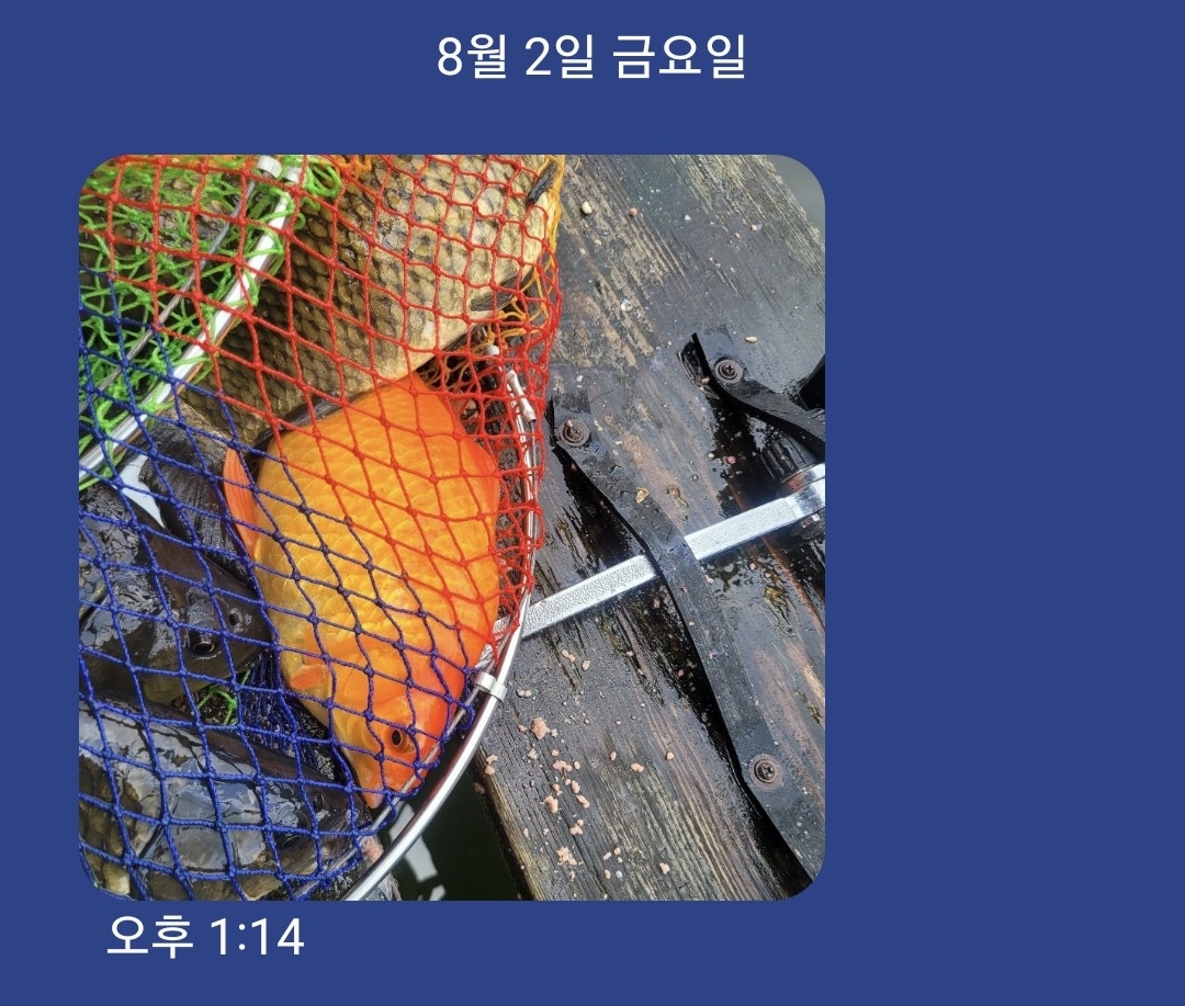 KakaoTalk_20240804_120410252.jpg