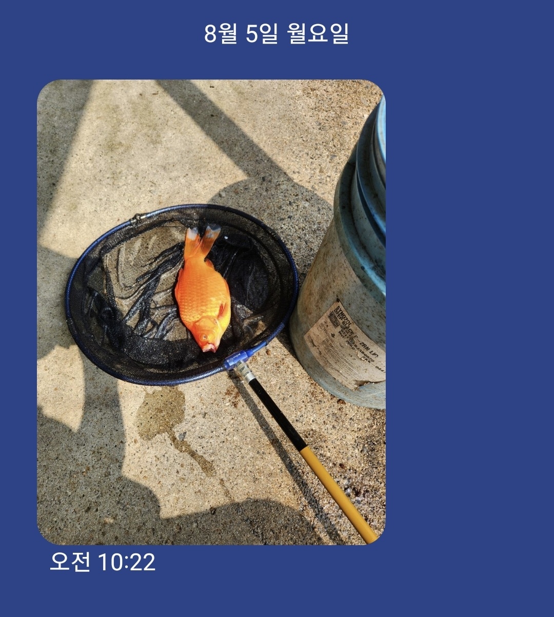 KakaoTalk_20240805_154631036.jpg