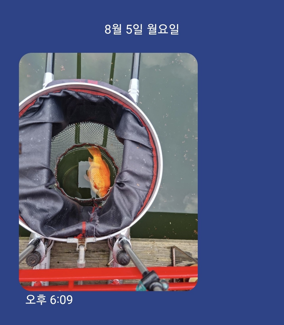 KakaoTalk_20240805_181932946.jpg