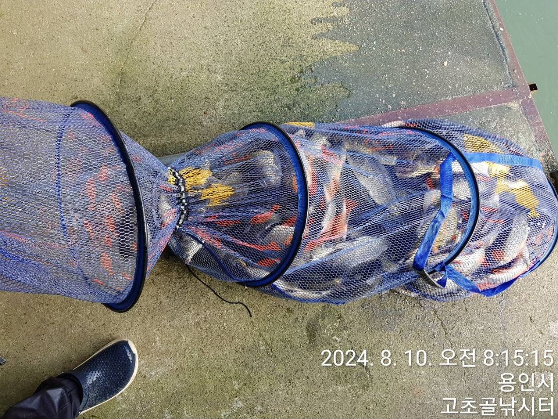 1723331199666.jpg
