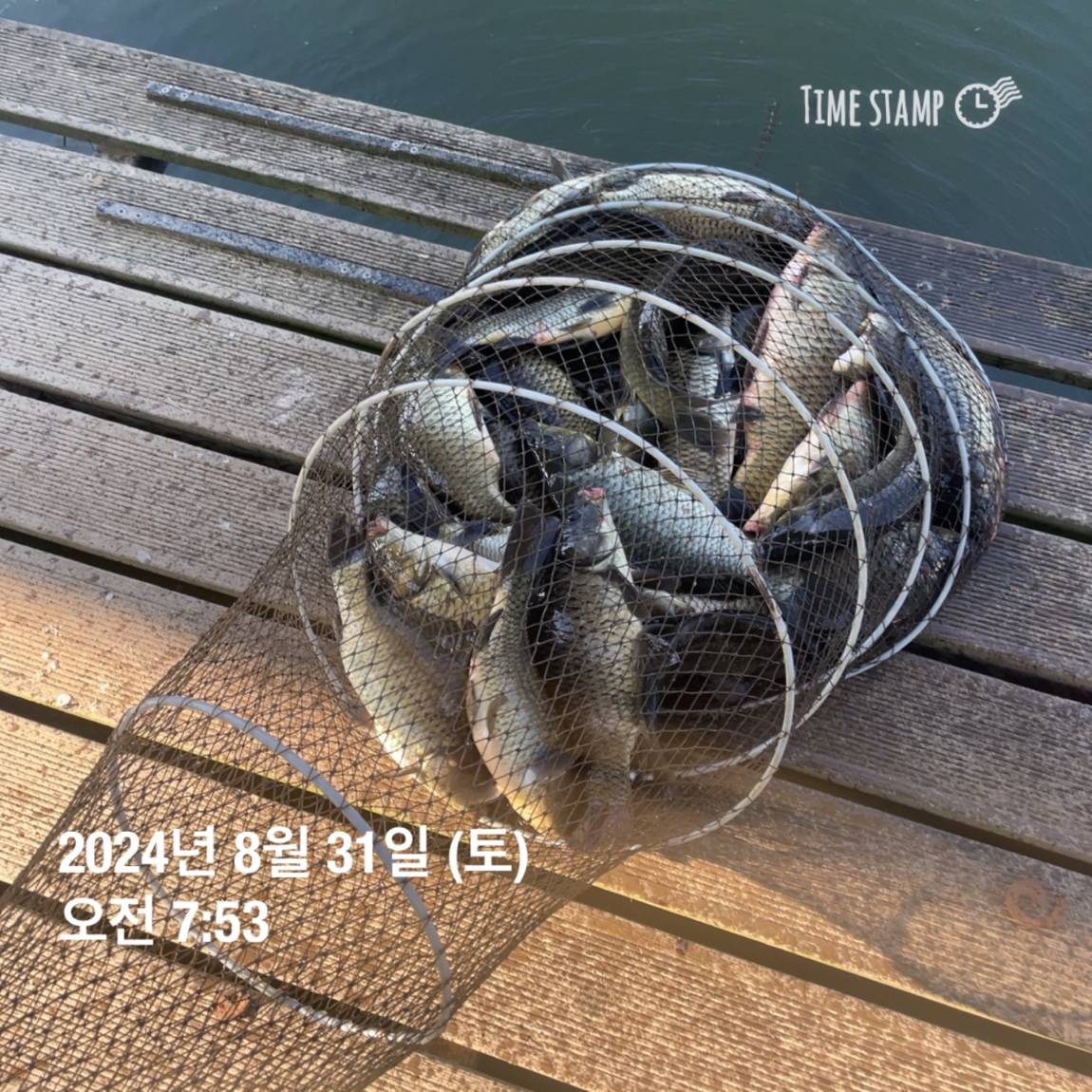 KakaoTalk_20240902_133245127_03.jpg