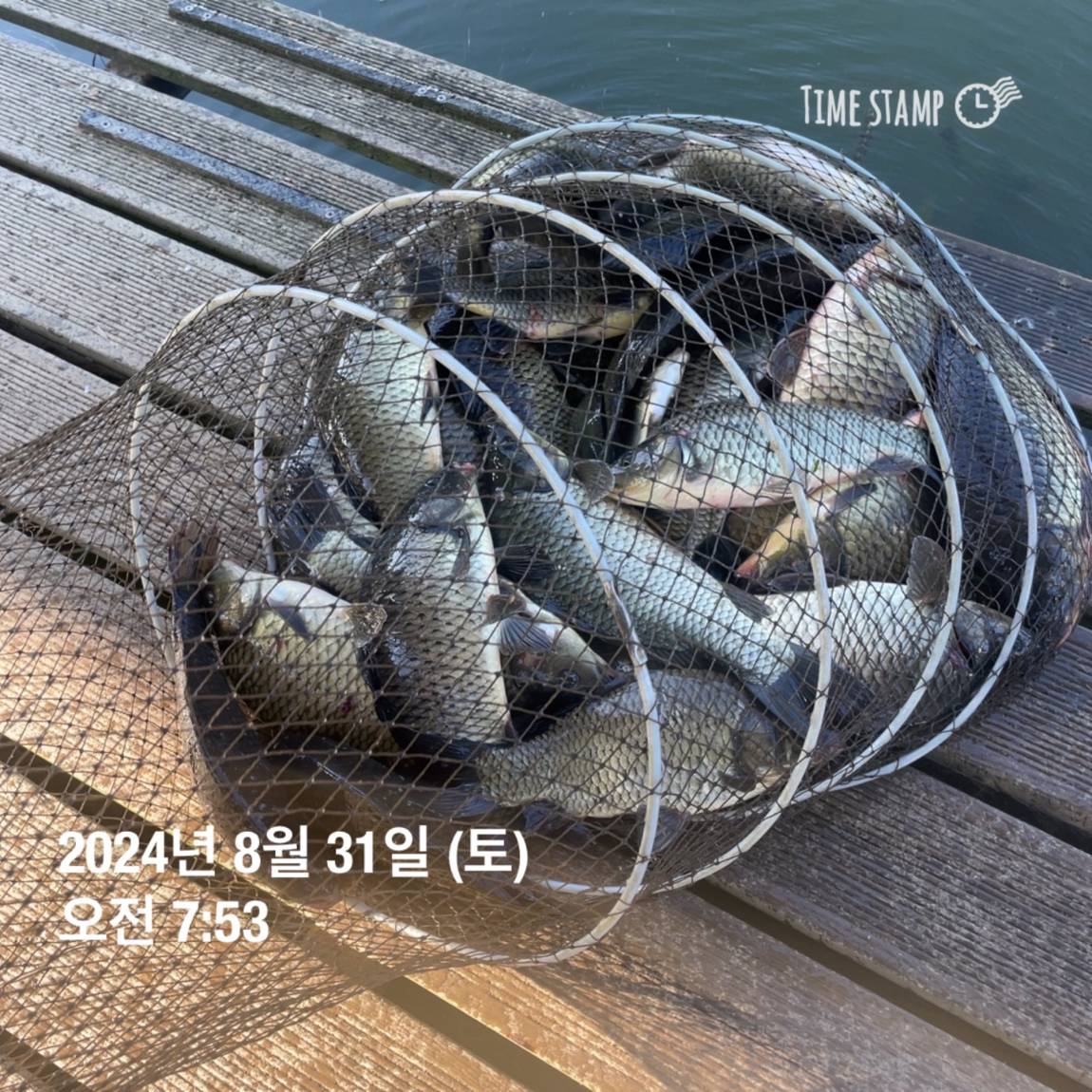 KakaoTalk_20240902_133245127_04.jpg