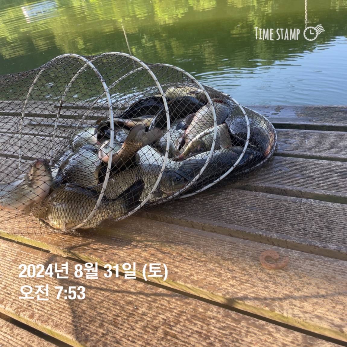 KakaoTalk_20240902_133245127_05.jpg