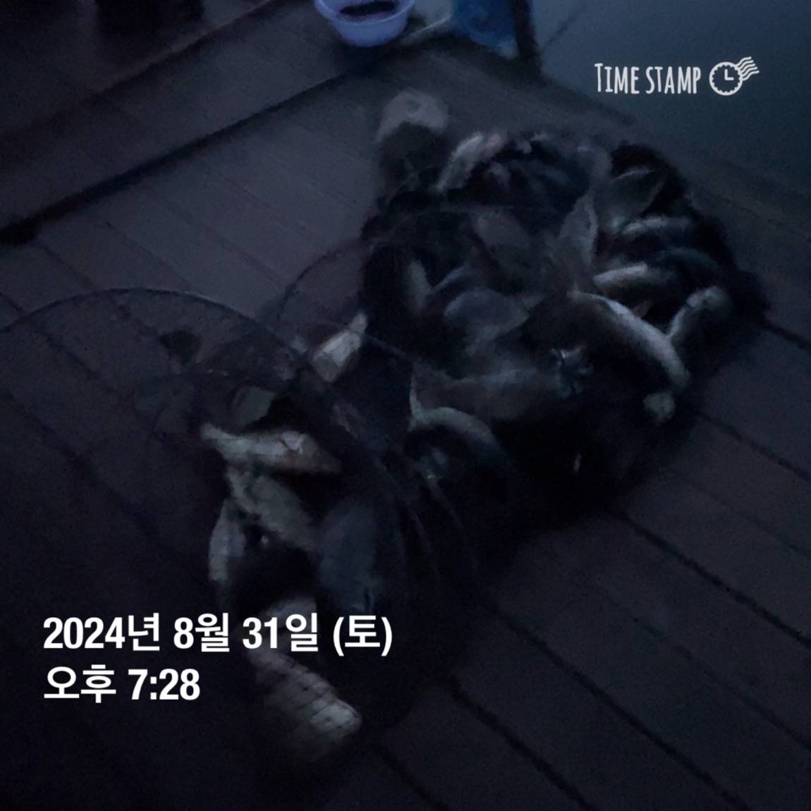 KakaoTalk_20240902_133245127_07.jpg