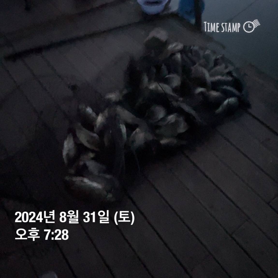 KakaoTalk_20240902_133245127_08.jpg