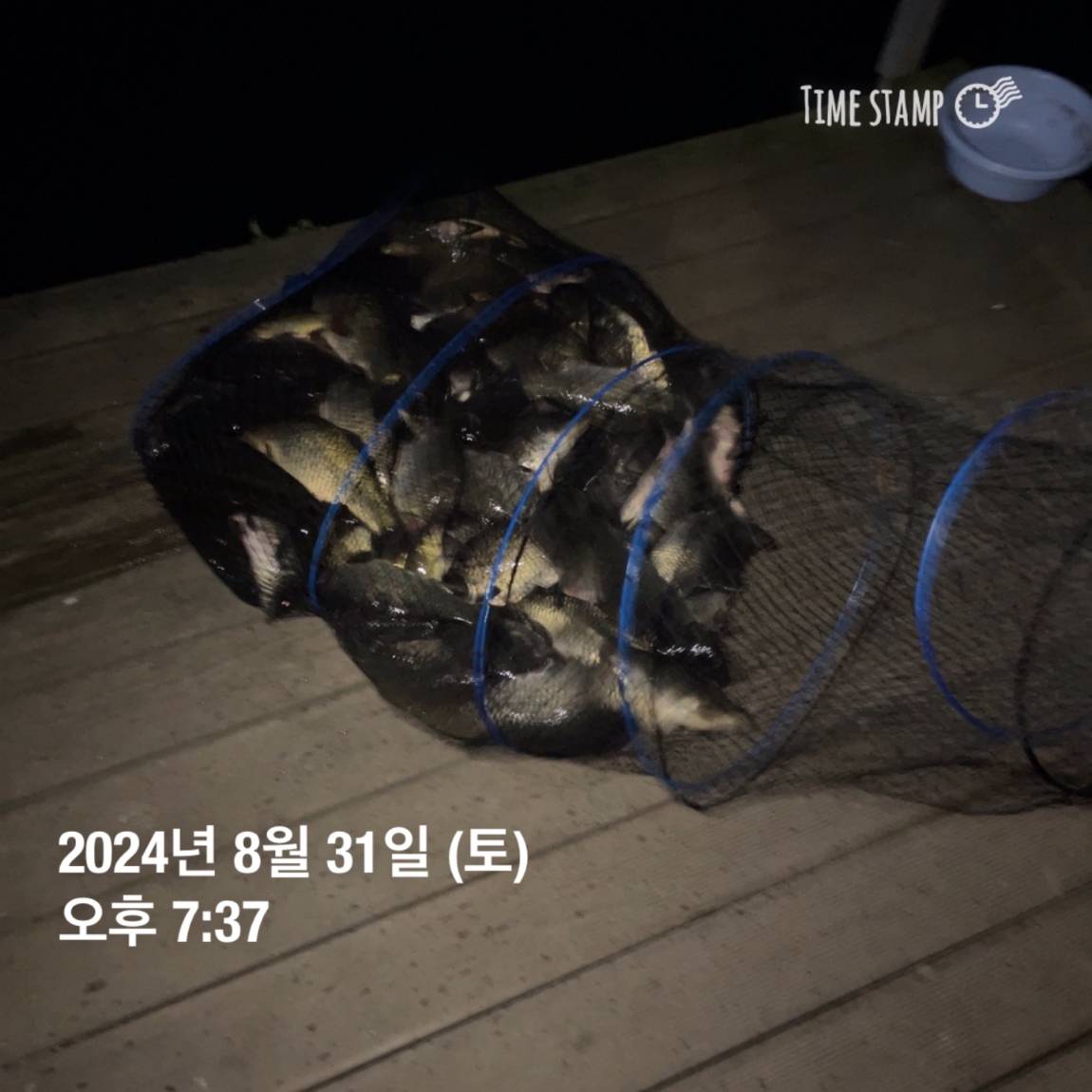 KakaoTalk_20240902_133245127_13.jpg