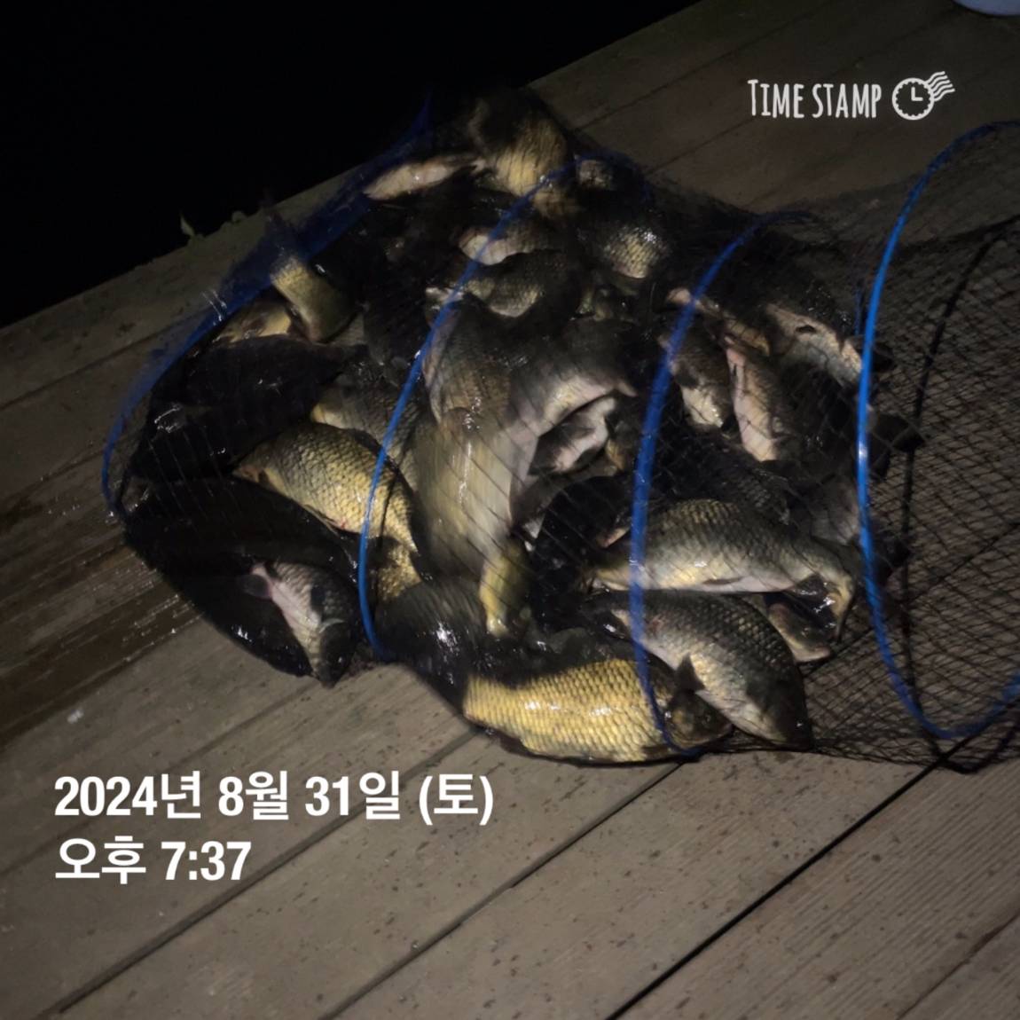 KakaoTalk_20240902_133245127_12.jpg