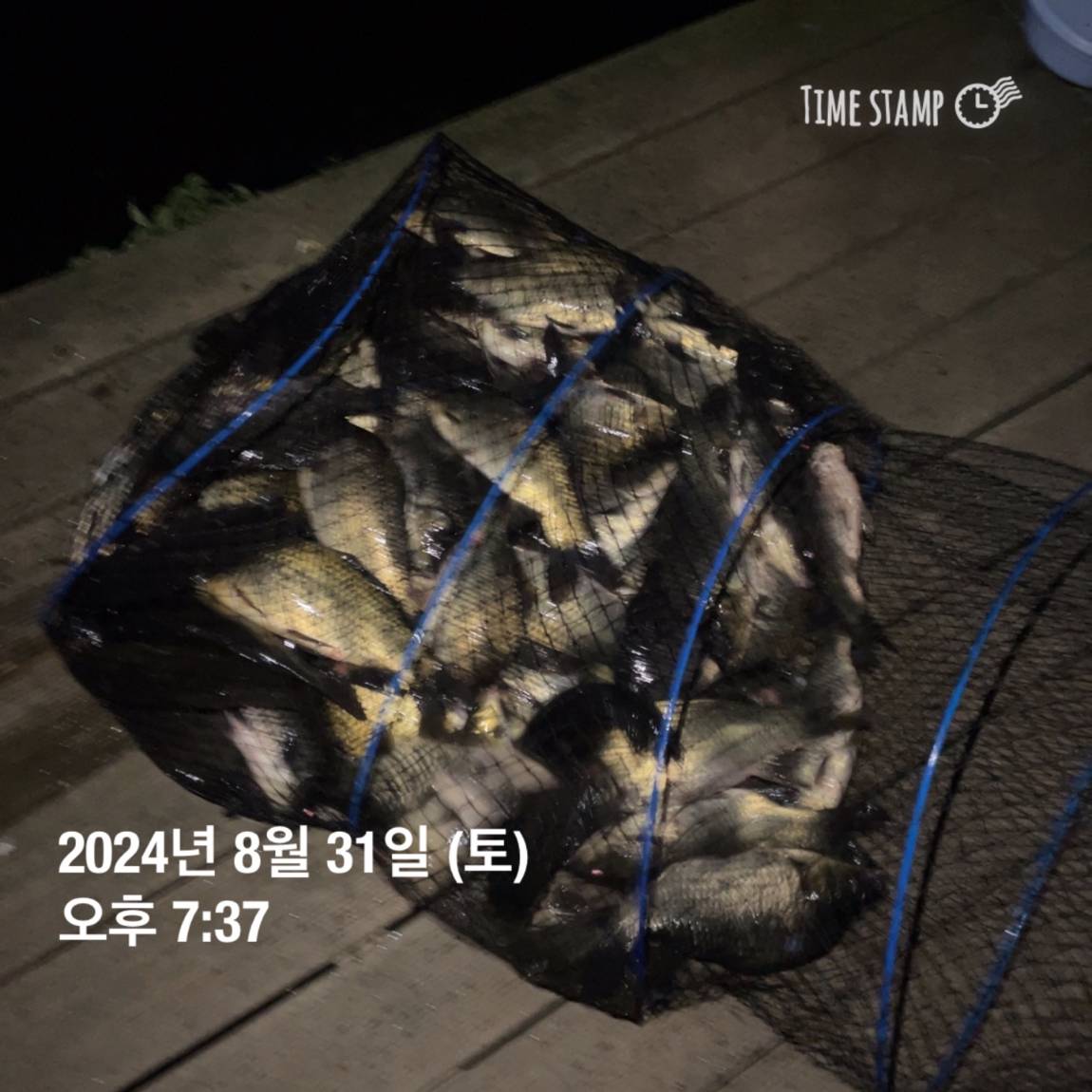 KakaoTalk_20240902_133245127_15.jpg