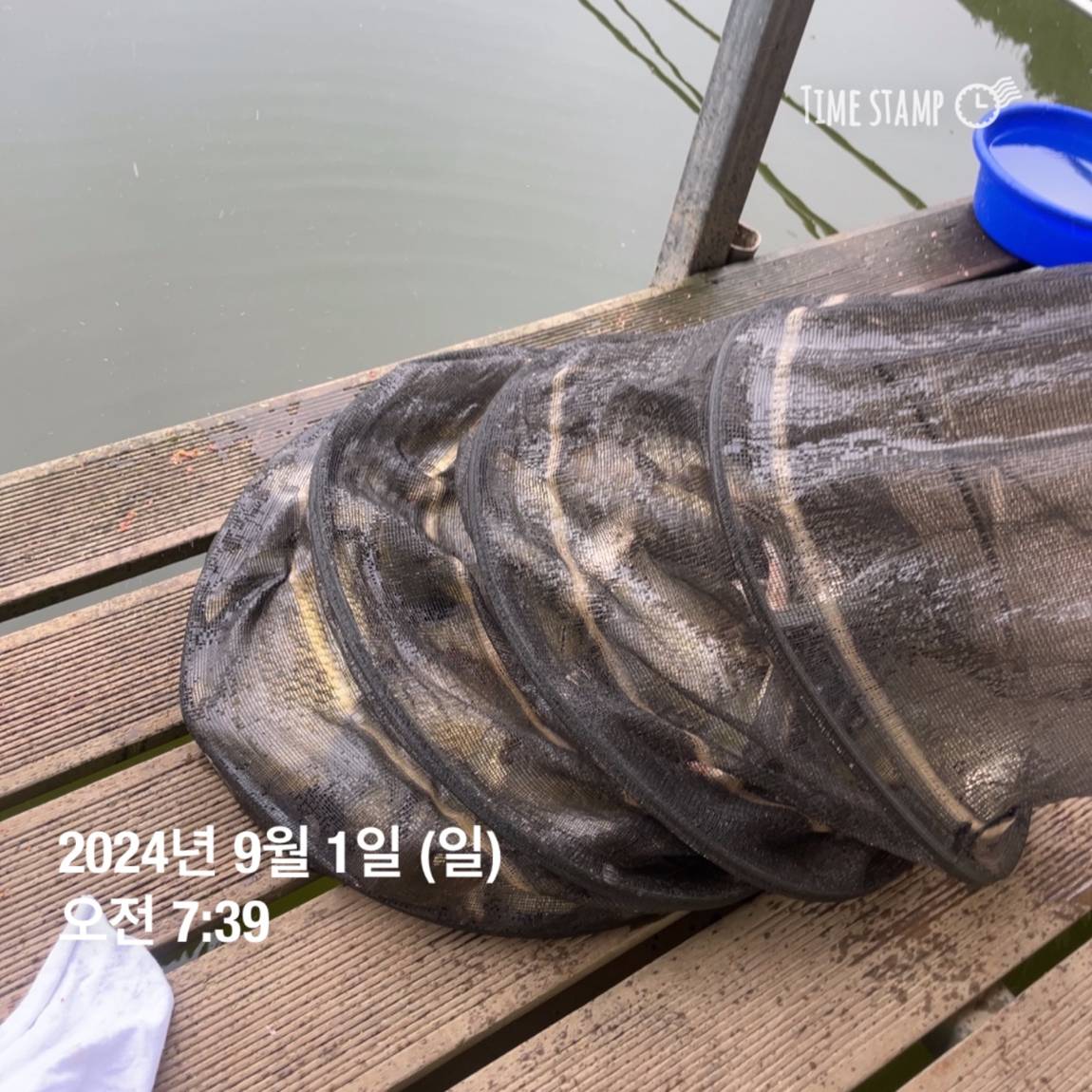 KakaoTalk_20240902_133245127_18.jpg