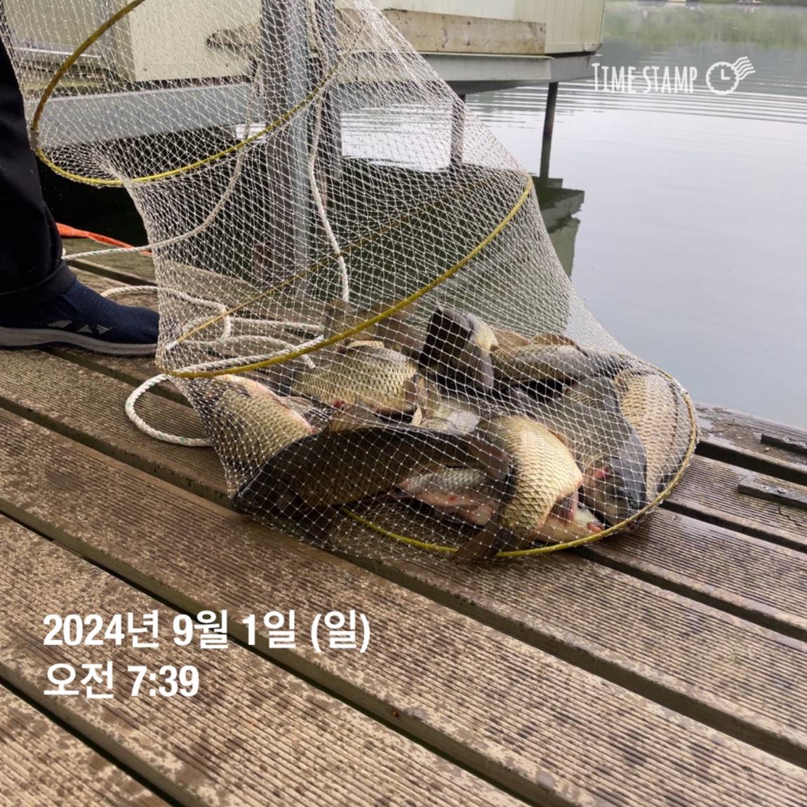 KakaoTalk_20240902_133245127_23.jpg