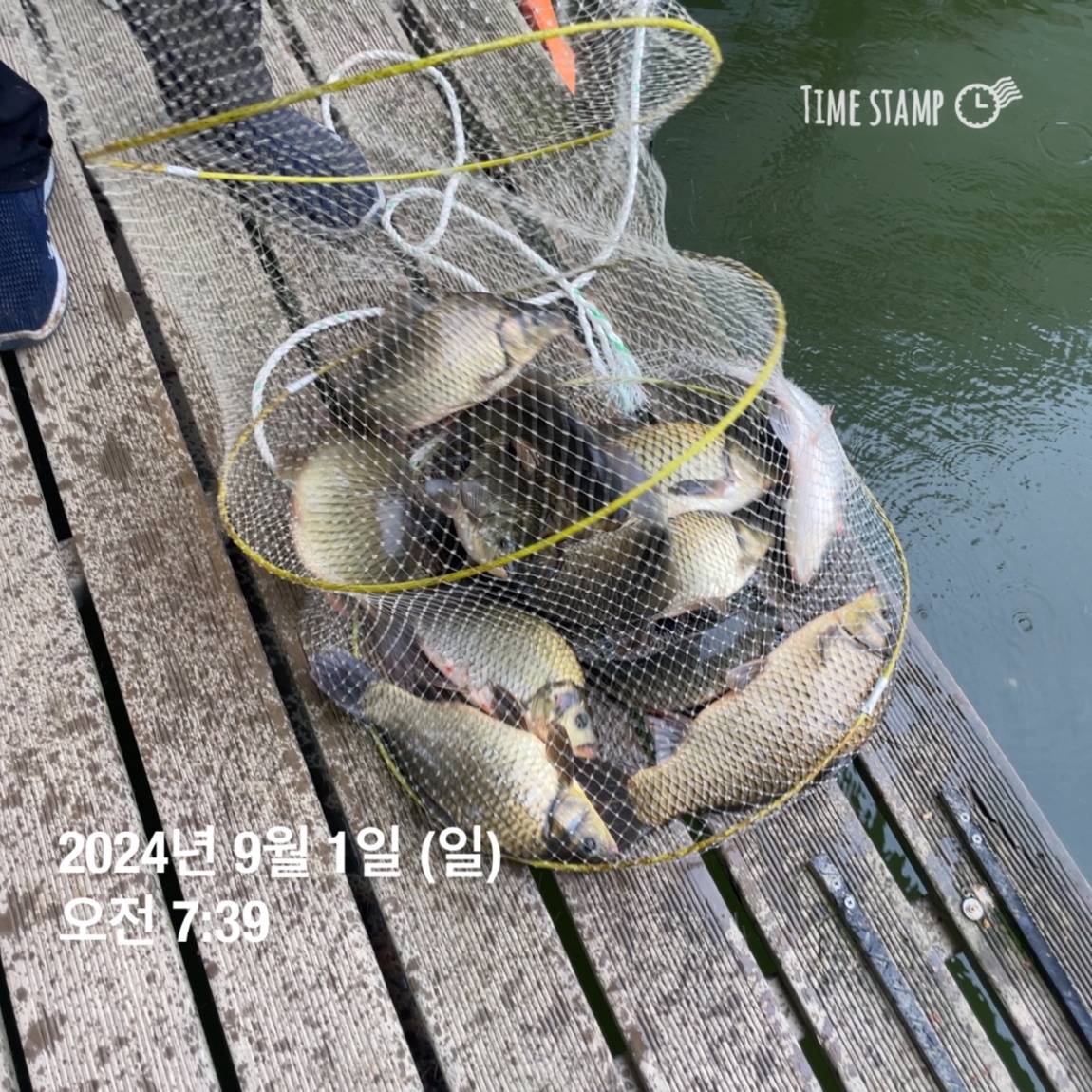 KakaoTalk_20240902_133245127_21.jpg