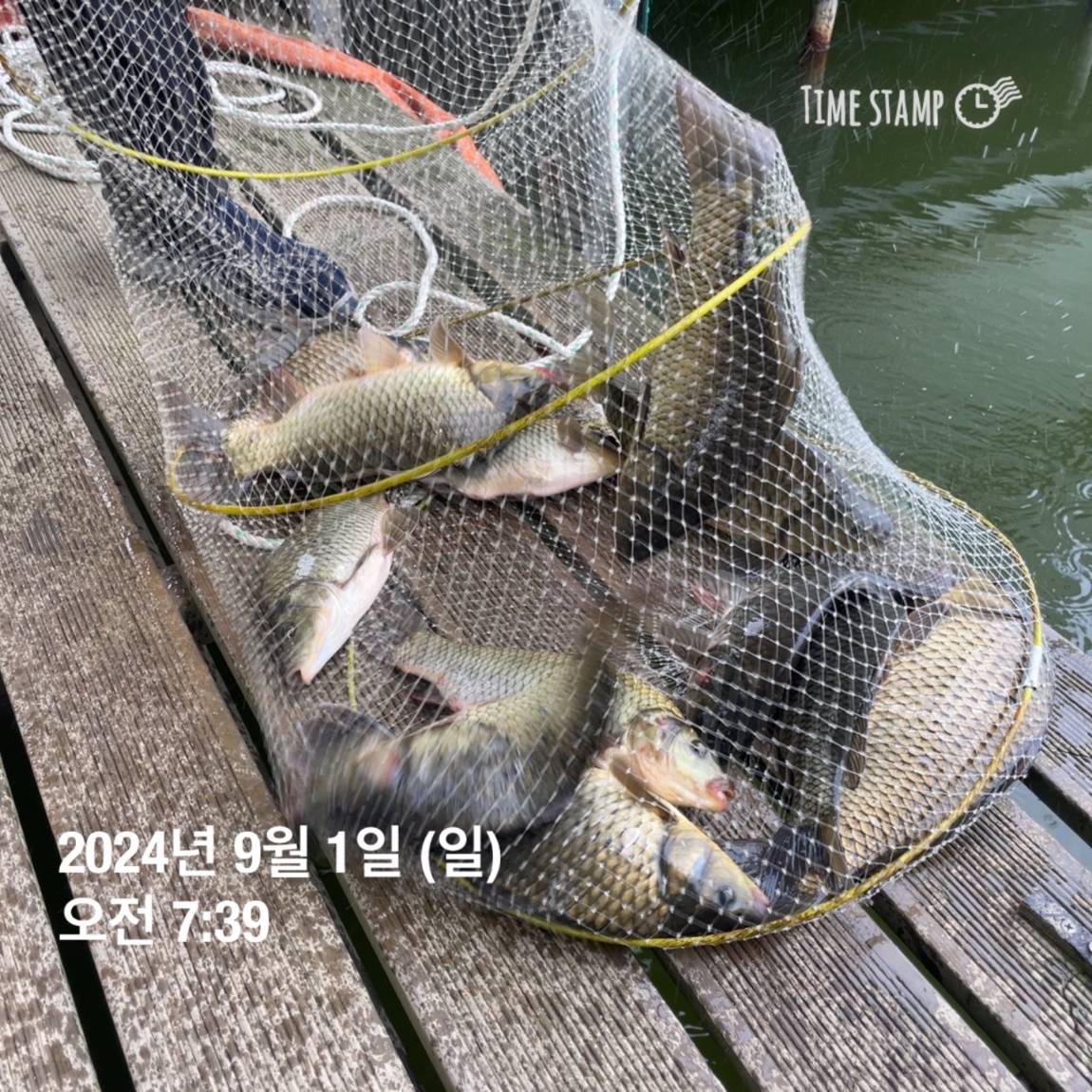 KakaoTalk_20240902_133245127_22.jpg